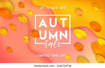 Horizontal colorful background with 3D abstract liquid layers, paper cut waves, realistic fall leaves. Autumn vector background design layout for banners, presentations, flyers, posters, wallpaper