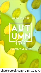 	
Horizontal colorful background with 3D abstract liquid layers, paper cut waves, realistic fall leaves. Autumn vector background design layout for banners, presentations, flyers, posters, wallpaper