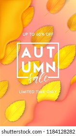 	
Horizontal colorful background with 3D abstract liquid layers, paper cut waves, realistic fall leaves. Autumn vector background design layout for banners, presentations, flyers, posters, wallpaper