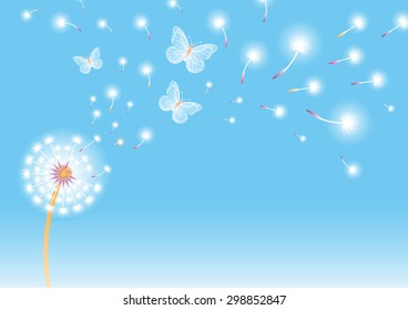 Horizontal composition with butterflies and dandelions in blossom

