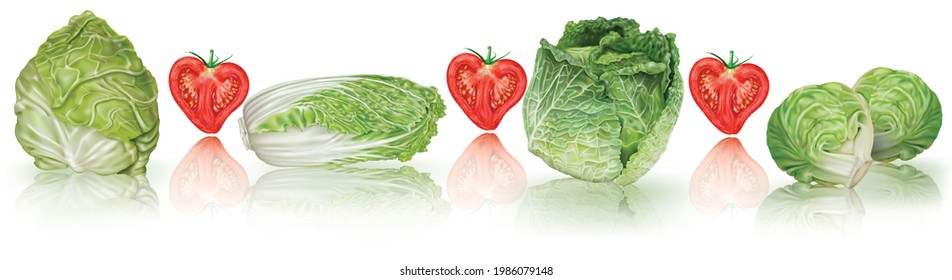 Horizontal composition of green cabbages and heart shaped tomatoes on a transparent background. Mesh vector illustration