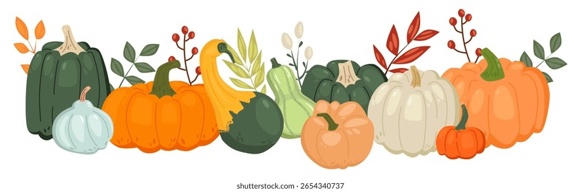 Composição horizontal de legumes coloridos desenhados à mão. Abóbora laranja, abóbora azul, abóbora amarela, abobrinha verde, panela branca e folhas. Colheita de outono, conceito de culturas vegetais. Ilustração vetorial