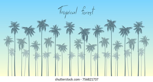 Horizontal composition with a tropical landscape against a blue sky. Vector image.