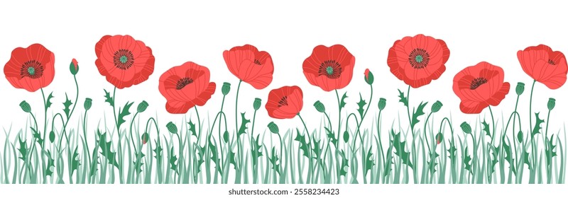 Horizontal continuous banner with red blooming flowers, poppies, plants, leaves. Floral frame. Spring or summer botanical vector illustration