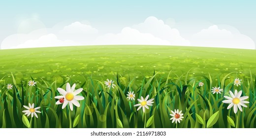 horizontal daisies field landscape. green Summer scene with white flowers, grass. sunny idyllic realistic spring background with daisies, green meadows, rural fields, valleys. blue sky, fluffy clouds