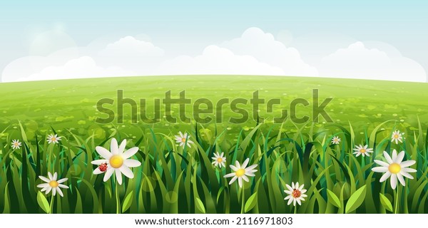 horizontal daisies field landscape. green Summer\
scene with white flowers, grass. sunny idyllic realistic spring\
background with daisies, green meadows, rural fields, valleys. blue\
sky, fluffy clouds