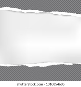 Horizontal dark grey torn squared paper strips for text or message are on white background. Vector illustration