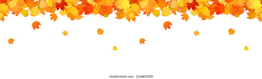 Horizontal decorative seamless header with falling leaves for sites.