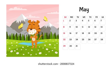 Horizontal desktop calendar page template for May 2022 with a cartoon tiger symbol of the Chinese year. The week starts on Sunday. Tiger sniffs daisies in the field