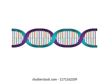 horizontal dna chain science colorful icon