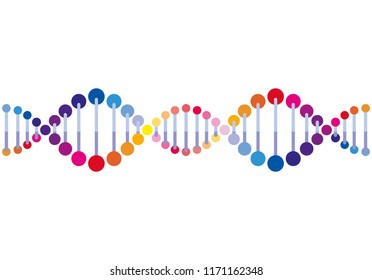 horizontal dna chain science colorful icon