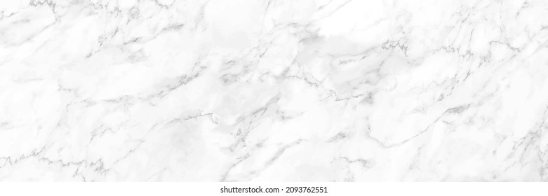 horizontal elegant white marble texture background,vector illustration.