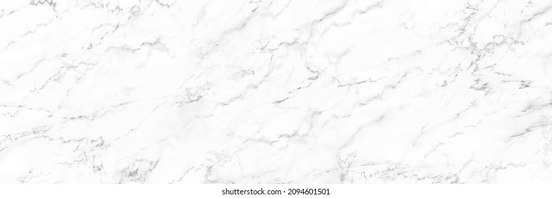 horizontal elegant white marble texture background,vector illustration.