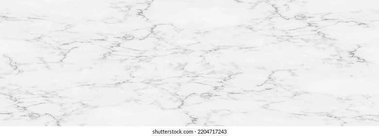 horizontal elegant white marble texture background,vector illustration.