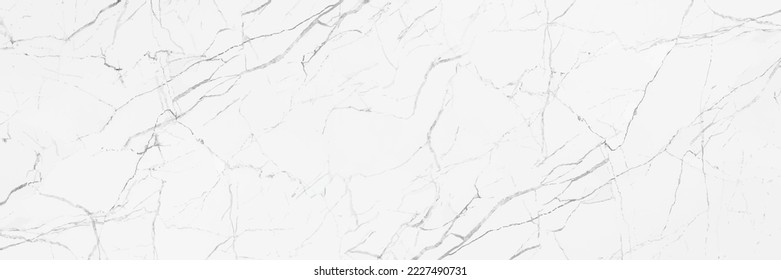 horizontal elegant white marble texture background,vector illustration.