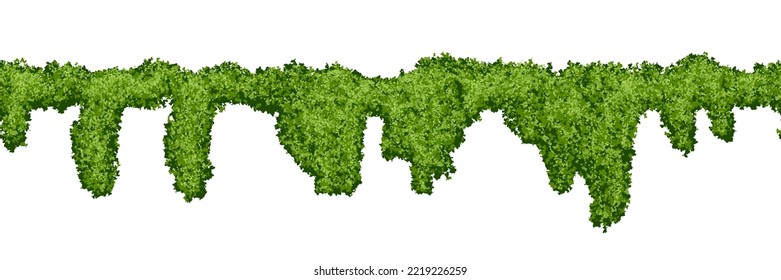 Horizontal endless swamp moss pattern on white background. Top of fence or wall with climbing plants. Bush line. Forest lichen. Vector illustration