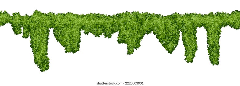 Horizontal endless swamp moss pattern on white background. Top of fence or wall with climbing plants. Bush line. Forest lichen. Vector illustration