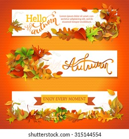 Horizontal fall banners set. Three vector templates. Bright autumn maple, oak, birch, elm, rowan, chestnut, aspen leaves and acorn. Hand-lettering elements. There is copy space for your text. 