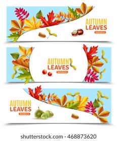 Horizontal flat banners with autumn leaves chestnuts berries and acorns isolated on white background vector illustration