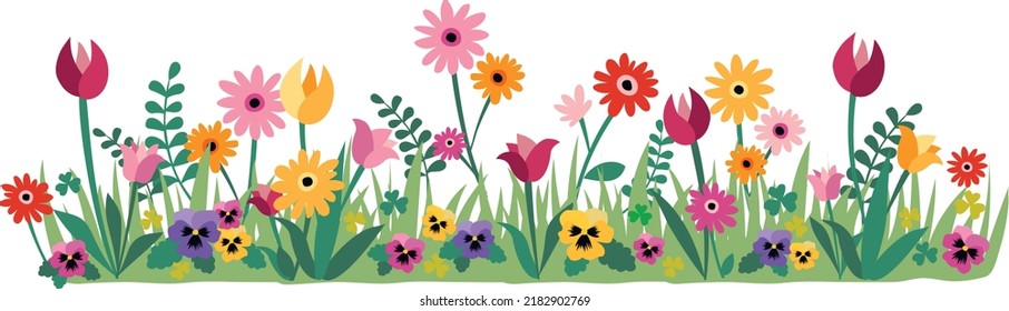 Horizontal floral background decorated with colorful blooming flowers. Spring botanical vector illustration isolated on white background