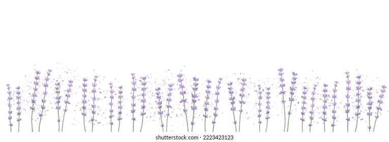 Horizontal floral background with lavender flowers. Watercolor vector illustration