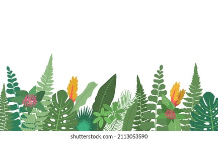 Horizontal floral border frame with green tropical leaves and flowers of tropical plants on white background. Tropical foliage borders. Vector flat illustration.