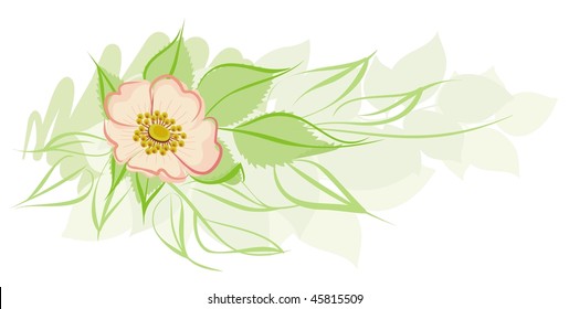 Horizontal floral element with sketchy  lines