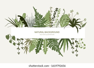 Horizontal floral frame. Tropical foliage and branches. Template for banner, card, poster, greetings, header. Vector flat illustration.