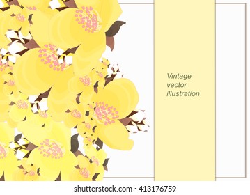 horizontal floral pattern for card with jasmine vector illustration