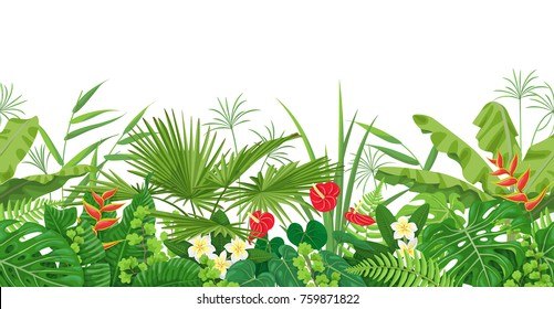 Horizontal  floral seamless border  made with  colorful leaves and flowers of tropical plants on wtite background.  Tropic rainforest foliage pattern. Vector flat illustration.