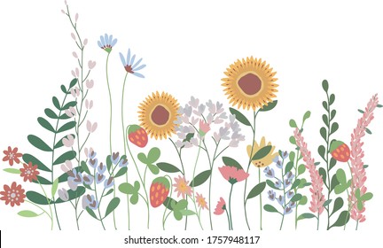 Horizontal flower arrangement with sunflowers and lupines