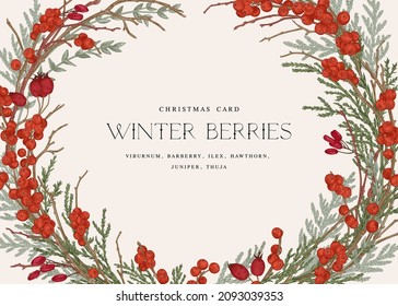 Horizontal frame with berries and conifers.
Vintage Christmas card. Vector botanical illustration.