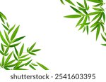 Horizontal frame, border with bamboo branch corners and green leaves. Vector hand drawn illustration. Perfect as web banner, postcard template and invitation for menu design.