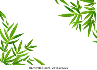 Horizontal frame, border with bamboo branch corners and green leaves. Vector hand drawn illustration. Perfect as web banner, postcard template and invitation for menu design.