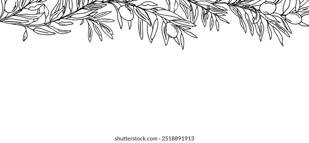 Horizontal Frame, Border with Olive Branches and fruits. Hand drawn Vector Graphic illustration. Botanical Sketch. Perfect as a web banner, card and invitation template, for menu design.