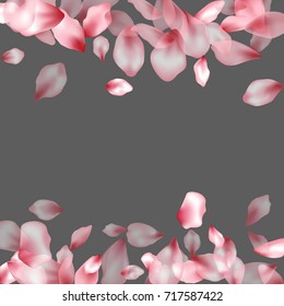 Horizontal frame borders of flying petals isolated on grey invitation background, flower parts wedding decorative frame. Pink blossom elements, flower petals valentines day background border.