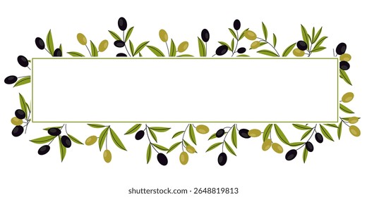 Marco Horizontal decorado con ramas de olivo Fondo de Vector de ilustración botánica