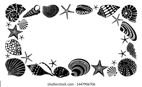 Horizontal frame of different black sea shells and starfish.