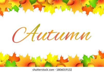 Horizontal frame with falling autumn maple and linden leaves. Autumn wilting, ornate. Vector illustration.