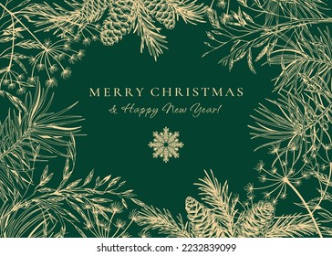 Horizontal frame with fir and pine branches, cones, dried grasses. Holiday botanical illustration. Vector christmas card. Green background and golden greeting. Sketch. 