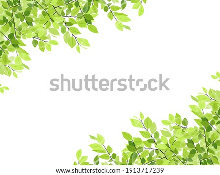 horizontal frame of fresh green leaves