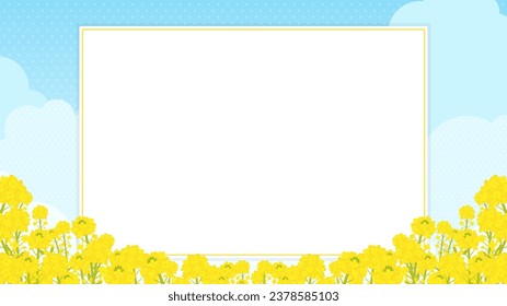 horizontal frame of rape blossoms in full bloom and blue sky