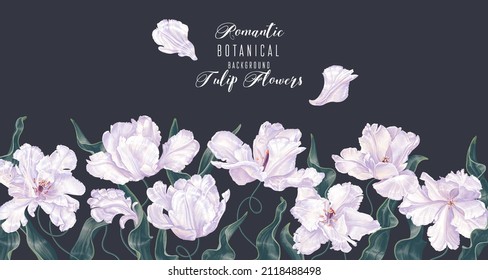 Horizontal frame with white tulip flowers and leaves on dark background. Botanical background on spring theme. Hand drawn, vector, botanical floral design in realistic style. Vector illustration.