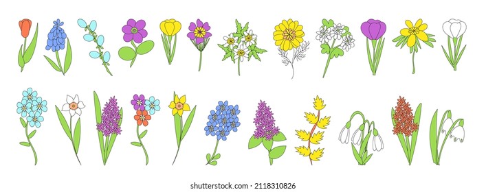 Brisa horizontal con flores primaverales. Flor dibujada a mano y garabatos de ramas. conjunto de florales primaverales y nevadas en el estilo de sketch aislado sobre un fondo blanco. Ilustración del vector 