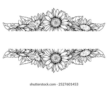 Horizontal Graphic Frame with Sunflower. Vector Flower in line art style. Autumn botanical illustration of chamomile painted by black inks. Hand Drawn engraving Bouquet of daisies. Sketch outline