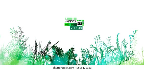 Horizontal grass. Hello summer. Mixed media. Vector illustration