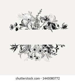 Horizontal hand drawn borders with wild flowers and herbs. Black and white arrangement in vintage style.