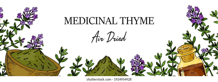 Horizontal hand drawn thyme frame with the bowl with dried herbs and essential oil bottle isolated on white background. Vector illustration in colored sketch style.