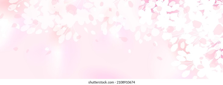 Horizontal illustration of ambiguous cherry blossoms like the soft sunlight of spring