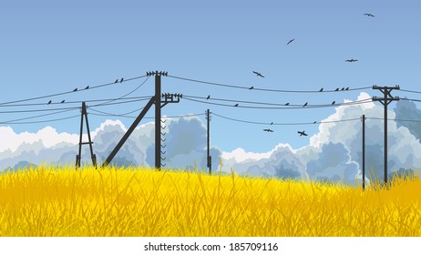 Horizontal illustration field of yellow grass, blue sky with clouds and birds on power line.